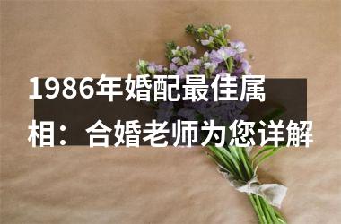 <h3>1986年婚配佳属相：合婚老师为您详解