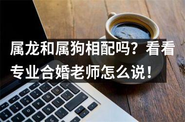 <h3>属龙和属狗相配吗？看看专业合婚老师怎么说！