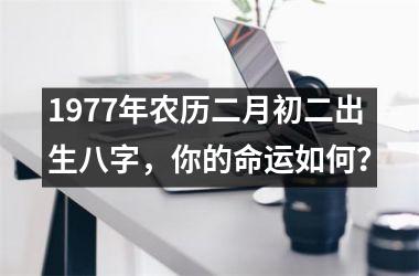 1977年农历二月初二出生八字，你的命运如何？