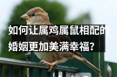 <h3>如何让属鸡属鼠相配的婚姻更加美满幸福？