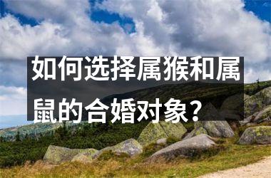 如何选择属猴和属鼠的合婚对象？