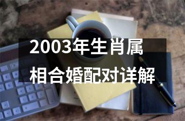 <h3>2003年生肖属相合婚配对详解