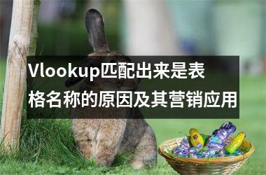 <h3>Vlookup匹配出来是表格名称的原因及其营销应用