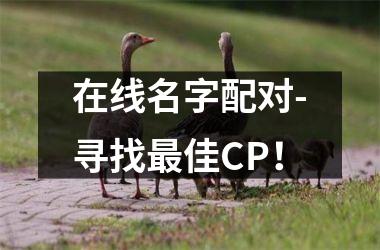 <h3>在线名字配对-寻找佳CP！