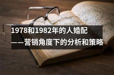 <h3>1978和1982年的人婚配——营销角度下的分析和策略