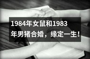 <h3>1984年女鼠和1983年男猪合婚，缘定一生！