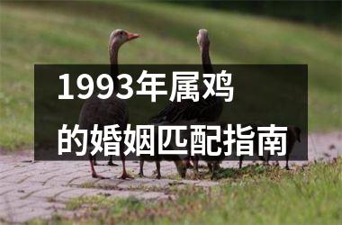 <h3>1993年属鸡的婚姻匹配指南