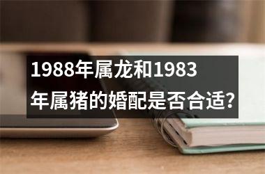 1988年属龙和1983年属猪的婚配是否合适？