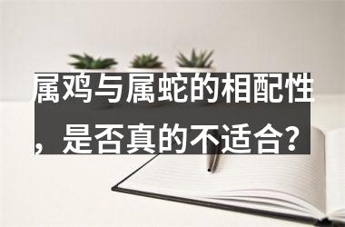 <h3>属鸡与属蛇的相配性，是否真的不适合？