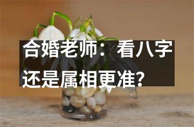 <h3>合婚老师：看八字还是属相更准？