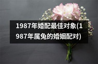 <h3>1987年婚配最佳对象(1987年属兔的婚姻配对)