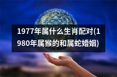 <h3>1977年属什么生肖配对(1980年属猴的和属蛇婚姻)