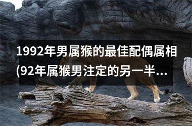 1992年男属猴的最佳配偶属相(92年属猴男注定的另一半婚姻)