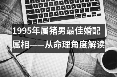 <h3>1995年属猪男最佳婚配属相——从命理角度解读