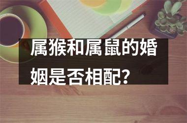 <h3>属猴和属鼠的婚姻是否相配？