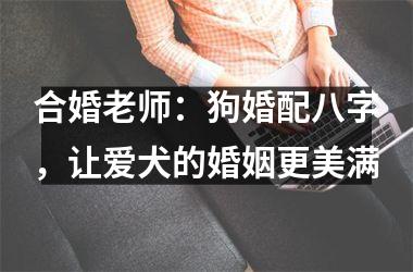 <h3>合婚老师：狗婚配八字，让爱犬的婚姻更美满