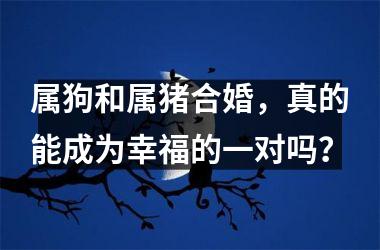 <h3>属狗和属猪合婚，真的能成为幸福的一对吗？