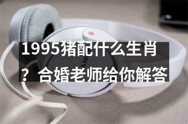 <h3>1995猪配什么生肖？合婚老师给你解答