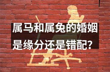 <h3>属马和属兔的婚姻是缘分还是错配？