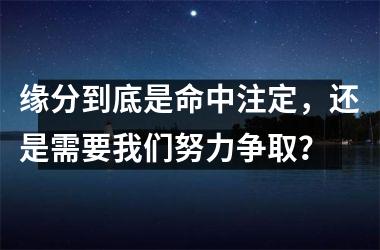 <h3>缘分到底是命中注定，还是需要我们努力争取？