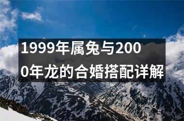 1999年属兔与2000年龙的合婚搭配详解