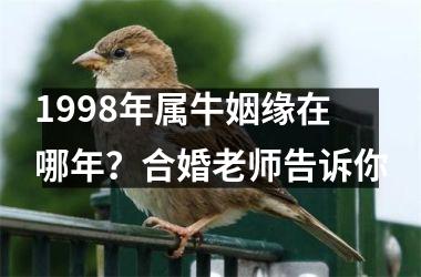 <h3>1998年属牛姻缘在哪年？合婚老师告诉你