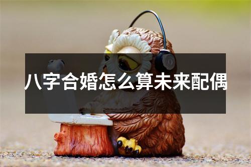 <h3>八字合婚怎么算未来配偶