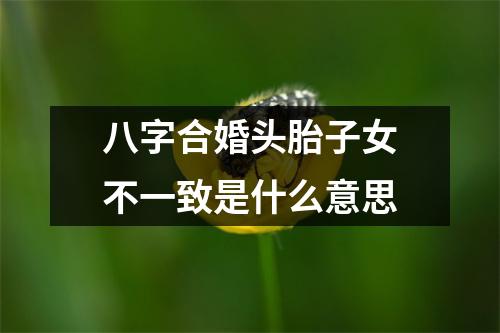 八字合婚头胎子女不一致是什么意思