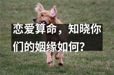 恋爱算命，知晓你们的姻缘如何？