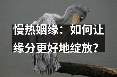 慢热姻缘：如何让缘分更好地绽放？