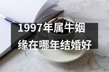 1997年属牛姻缘在哪年结婚好