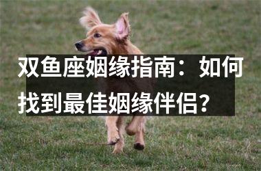 <h3>双鱼座姻缘指南：如何找到最佳姻缘伴侣？