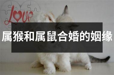 <h3>属猴和属鼠合婚的姻缘