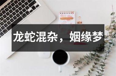 龙蛇混杂，姻缘梦