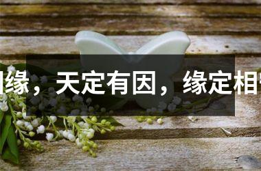 <h3>姻缘，天定有因，缘定相守