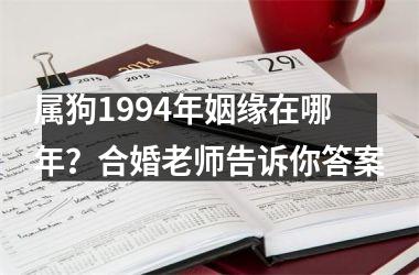 <h3>属狗1994年姻缘在哪年？合婚老师告诉你答案