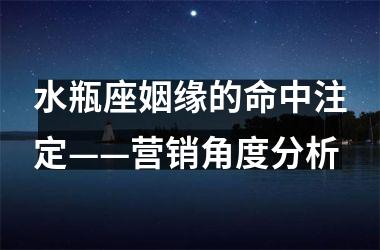 水瓶座姻缘的命中注定——营销角度分析