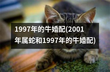 1997年的牛婚配(2001年属蛇和1997年的牛婚配)